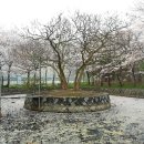 배산공원 주차장 이미지