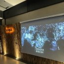 하야네 | 경주 황리단길 감성 숙소 하야네 솔직 이용후기