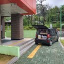 보체초등학교 이미지