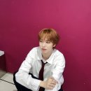 니드 이미지