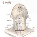 사혈요법과 광명건강(세미나를 준비하며) 이미지