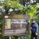 환상의 섬 이미지