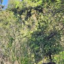 마리들농장 이미지