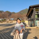비주