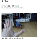 260228 투바투 모아콘 중콘 후기⁺𓏲🎸˚⤾·