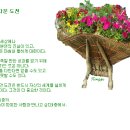 꽃수레 이미지