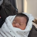 나리울 동물병원 | 김포 스위트나리산후조리원 13박 14일 후기 1편 | 입소과정 &amp; 내부시설 &amp; 식사 솔직 후기