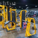 몸짱휘트니스헬스 이미지