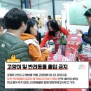 31회 궁팡 궁디팡팡캣페스타 세텍 서울 궁팡 현장이벤트, 주차정보 총정리-2