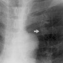 중앙방사선과의원 이미지