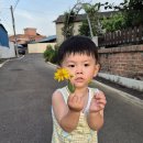 무더운 여름 해질녘 시골, 모기 뜯긴 밤톨이 ㅋㅋ 이미지