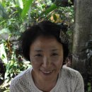 나비농장 이미지