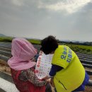 고성군치매안심센터 이미지