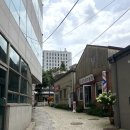21세기이용원