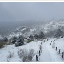 지리산 한신계곡-세석대피소-촛대봉-연하봉-장터목-하동바위-백무동 15 이미지