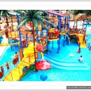 스플래쉬 이미지