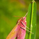 필라테스 (B) 이미지