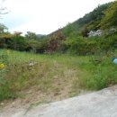 산성로L 네이버블로그