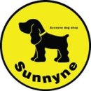 써니애견 이미지