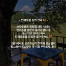 창원 대형카페 | 브라운핸즈 라키비움 창원 | 야외 애견동반 가능