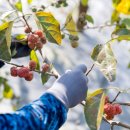 이성재농장 이미지