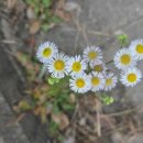 기독노동조합 이미지