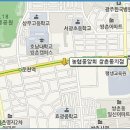 화훼장식(플로리스트) 이미지