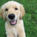 상무동물병원 이미지