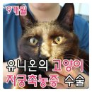 유니온동물의료센터 이미지