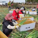 판포리경로당 이미지