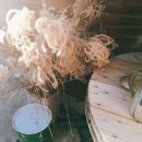 STAY Guest house 이미지