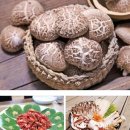 한경식당 이미지