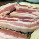 돼지사랑 이미지