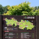 모담산 유아숲체험원 이미지