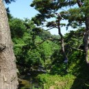 휴양림길 이미지