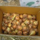 견우농장 이미지