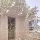 수채화별당 이미지