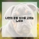 나의 운동 공간 이미지