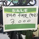 양마니 명동찌개 마을 | [영천/청통면] 양마니명동찌개마을 영천청통점 갈비탕 후기｜영천 맛집에서 든든한 한 끼