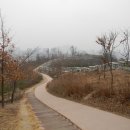 () 서울 도심 속에 숨겨진 서촌의 끝자락을 더듬다 ~~~ (인왕산 한양도성길, 딜쿠샤, 홍난파가옥, 행촌동 은행나무) 이미지