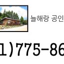 늘해랑베이커리카페 이미지