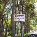 대천해수욕장 고려대수련원 이미지