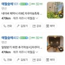 애월숲에102 이미지