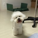 8월 일상