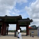 2026 봄 궁중문화축전 '경복궁, 시간여행-궁중새내기' 후기