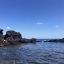 성산일출봉농업협동조합주유소 | 제주도 5박6일 자유여행(Day.3)