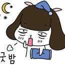 닥터호오 동물병원 이미지