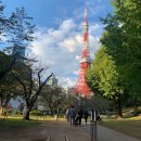 프린스타워 | [도쿄] 도쿄 타워 뷰 호텔 추천 _ 더 프린스 파크 타워 도쿄 _ 객실 및 야경 후기