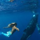 인어공주 이미지