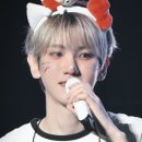 코모레비 이미지